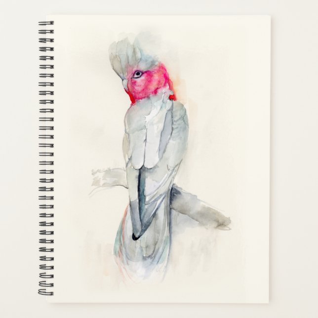 Agenda Aquarela (Frente)