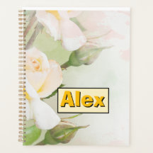 Aquarela Moderna Flores coloridas & personalizar