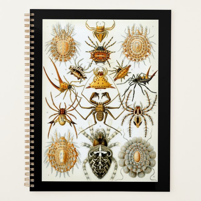 Agenda Aracnídeos por Ernest Haeckel poster vintage (Frente)