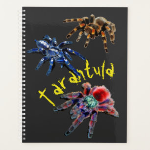 Agenda Aranha tarântula, aranha azul, aranha vermelha, a
