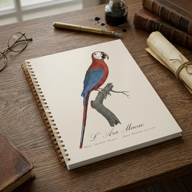 Agenda Arara-vermelha, Ara chloropterus (Red-and-green Macaw, Ara chloropterus. Planner)