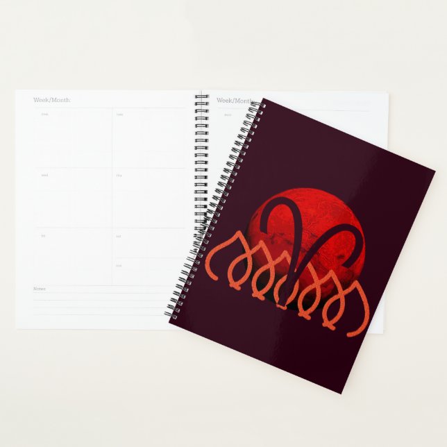 Agenda Aries Planner (Exibição)