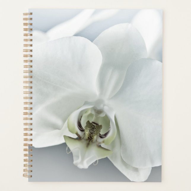 Agenda Arte Botânica de Orquídea Branca Elegante (Frente)