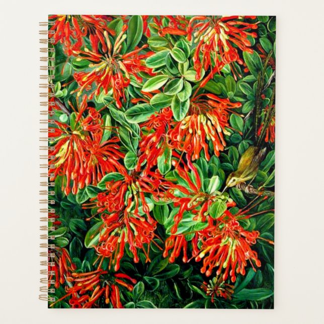 Agenda Arte botânica: Queimando Bush e Emu Wren do Chile (Frente)