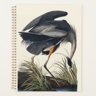 Agenda Arte da Natureza de Pássaros Garça-azul-grande Aud