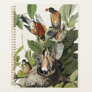 Agenda Arte de ninho de pássaro do antigo Robin Americano