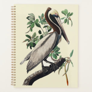 Agenda Arte de Pássaros Costeiros Vintage Audubon Pelican