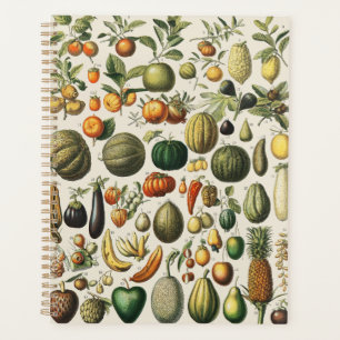 Agenda Arte de Poster de Frutas Botânicas Francesas Vinta