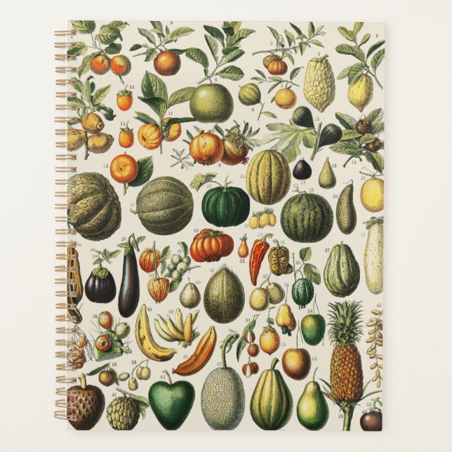 Agenda Arte de Poster de Frutas Botânicas Francesas Vinta (Frente)