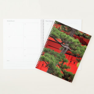 Agenda Árvore de Pinheiro Bonsai