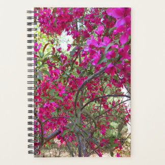 Agenda Árvore Florida Gloriosa de Primavera