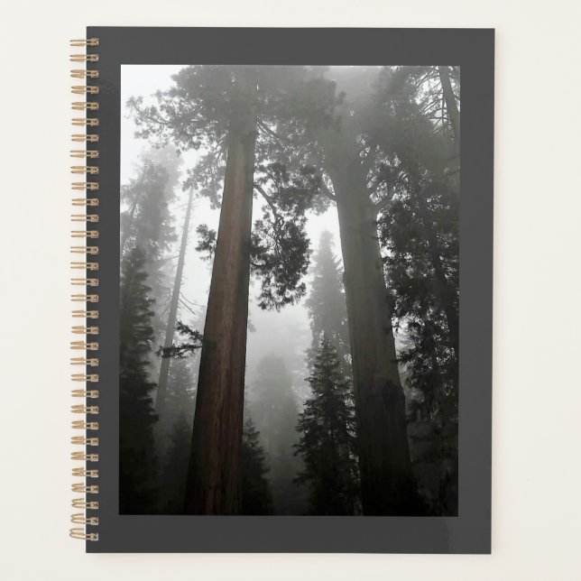 Agenda Árvores gigantes de sequoia na porca, CA (Frente)
