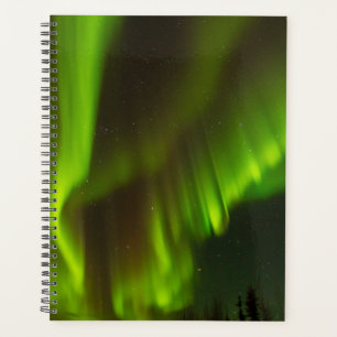 Agenda As Luzes do Norte   Fairbanks, Alasca