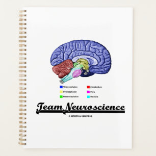 Agenda Atitude de Anatomia do Cérebro da Neurociência de