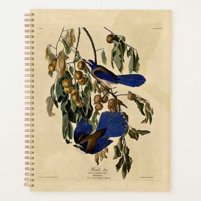 Agenda Audobon - Florida Jay, (Frente)
