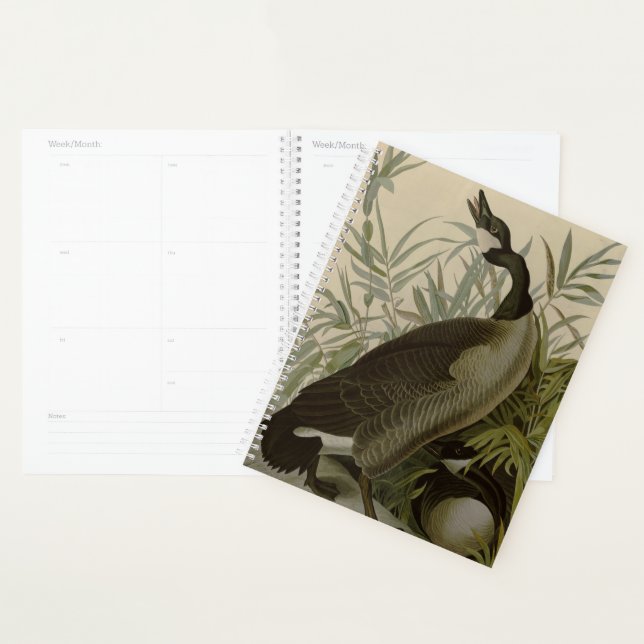Agenda Audubon Canada Goose Willife Bird (Exibição)