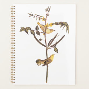 Agenda Audubon Children's Warbler Songbird
