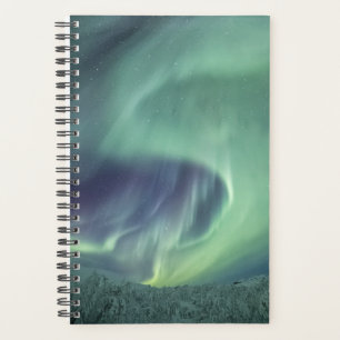 Agenda Aurora Borealis