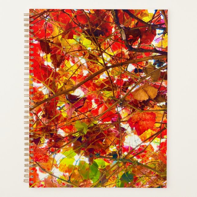 Agenda Autumn Spiral Planner (Frente)