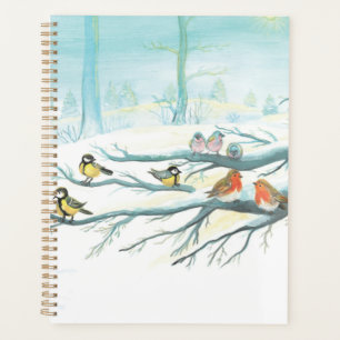 Agenda Aves florestais no inverno