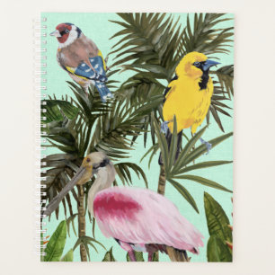 Agenda Aves no Paraíso