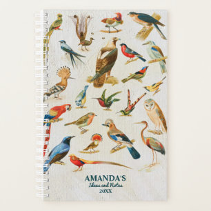 Agenda Aves Vintage Ilustração Dons De Sobrevivência