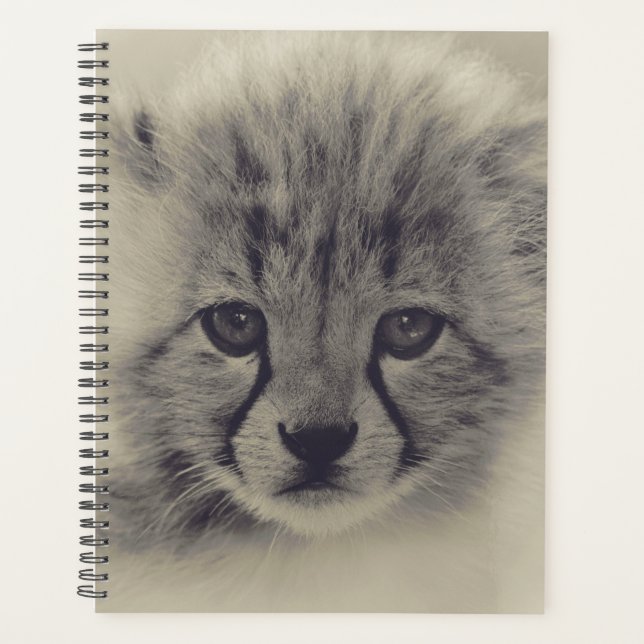 Agenda Baby Cheetah (Frente)
