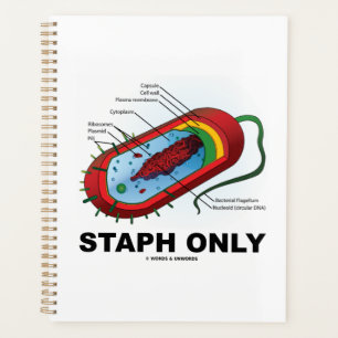 Agenda Bactérias Prokaryote Apenas Diagrama Bacteriano