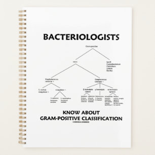 Agenda Bacteriologistas Conhecem Classificação Gram-Pos