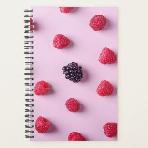 Agenda bagageira legal