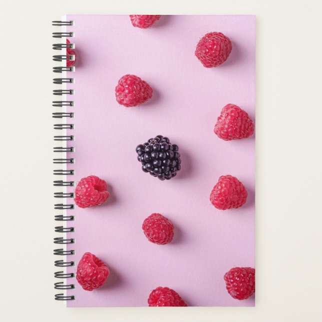 Agenda bagageira legal (Frente)