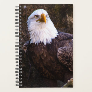 Agenda Bald Eagle Planner