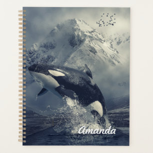 Agenda Baleia Assassina Selvagem Saltando