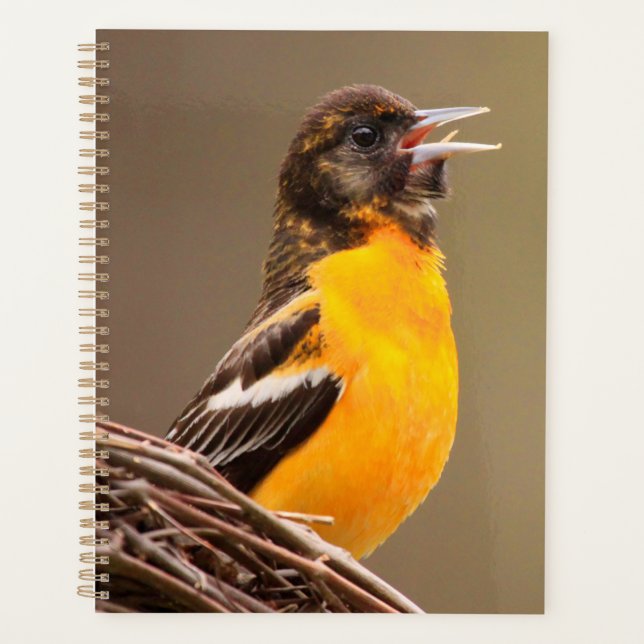 Agenda Baltimore Oriole  (Frente)