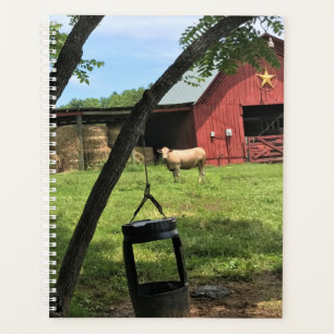 Agenda Barn & Cows, Rural North Carolina Canvas Print
