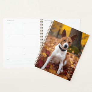 Agenda Basenji no outono deixa cair inspiração