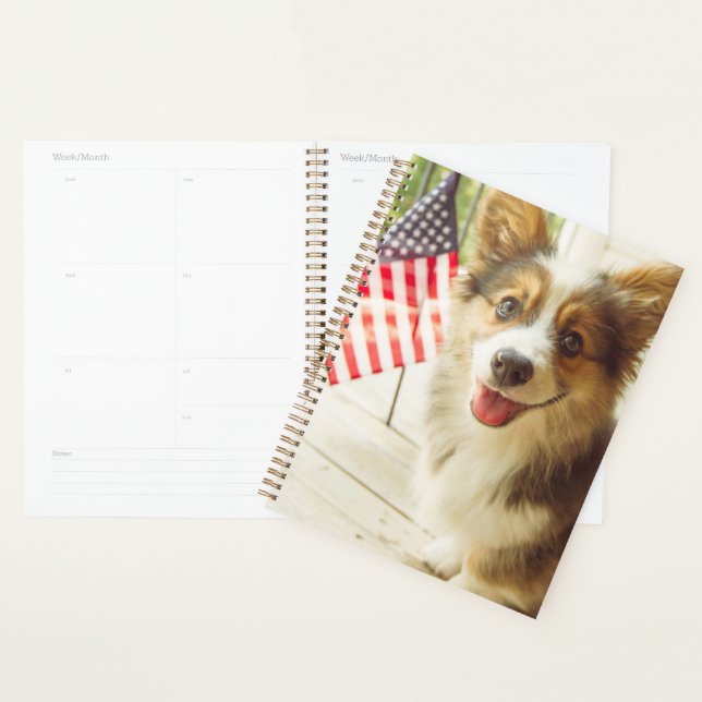 Agenda Bebês Mais Pobres | American Flag Corgi (Exibição)