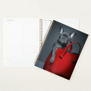 Agenda Bebês Mais Pobres Bulldog Francês no Handbag