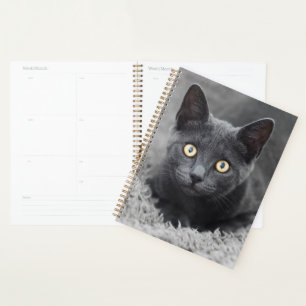 Agenda Bebês Mais Pobres Gato Cinza
