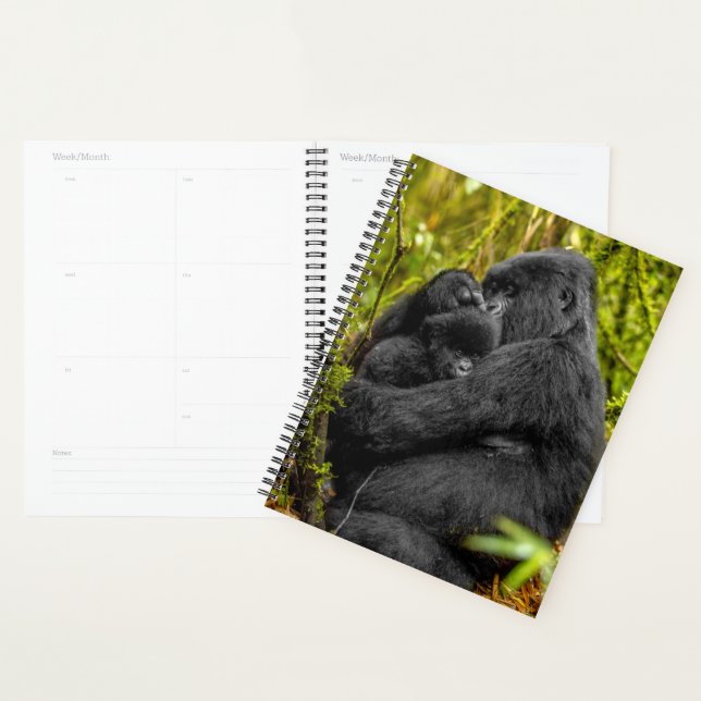 Agenda Bebês Mais Pobres | Gorilla & Baby (Exibição)