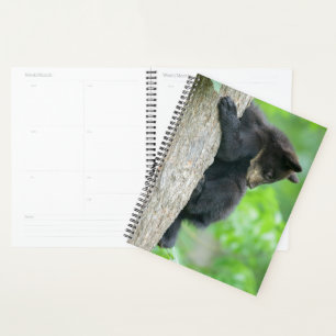 Agenda Bebês Mais Pobres Jovem Urso Negro