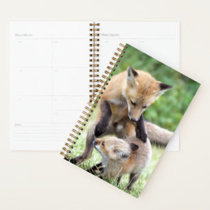 Agenda Bebês Mais Pobres   Kit Fox Adorável e Mama