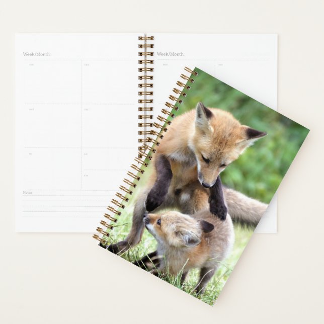 Agenda Bebês Mais Pobres | Kit Fox Adorável e Mama (Exibição)