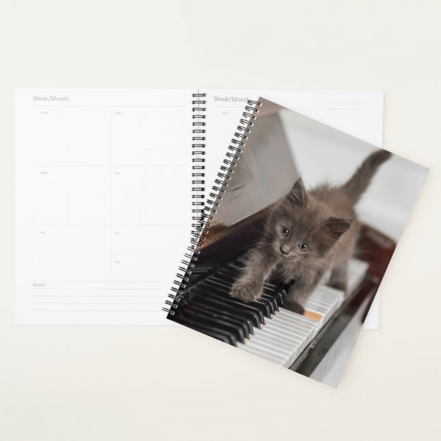 Agenda Bebês Mais Pobres | Kitten on Piano (Exibição)