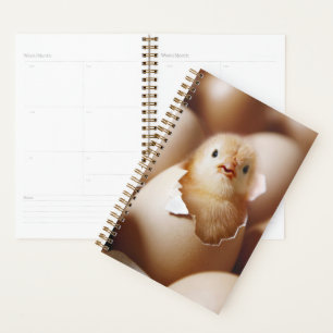 Agenda Bebês Mais Pobres Novo Pintinho