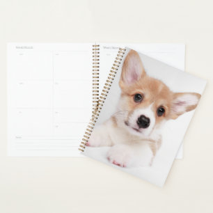 Agenda Bebês Mais Pobres Sweet Baby Corgi