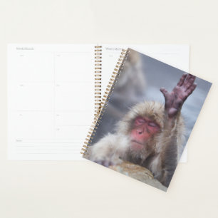 Agenda Bebês Mais Pobres Tecido macaco-neve