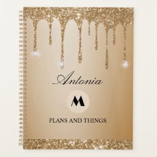 Agenda Beige Dourado com brilho picante com brilho