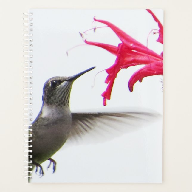 Agenda Beija-flor em Monarda (Frente)