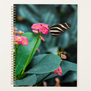 Agenda Bela borboleta